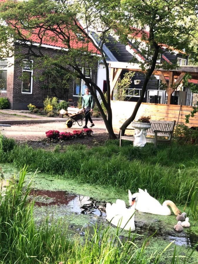 Homestead Amsterdam Esterno foto